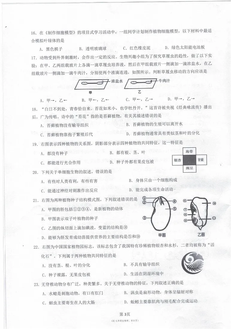 广东省广州市增城区2024-2025学年七年级上学期期末生物试卷第3页