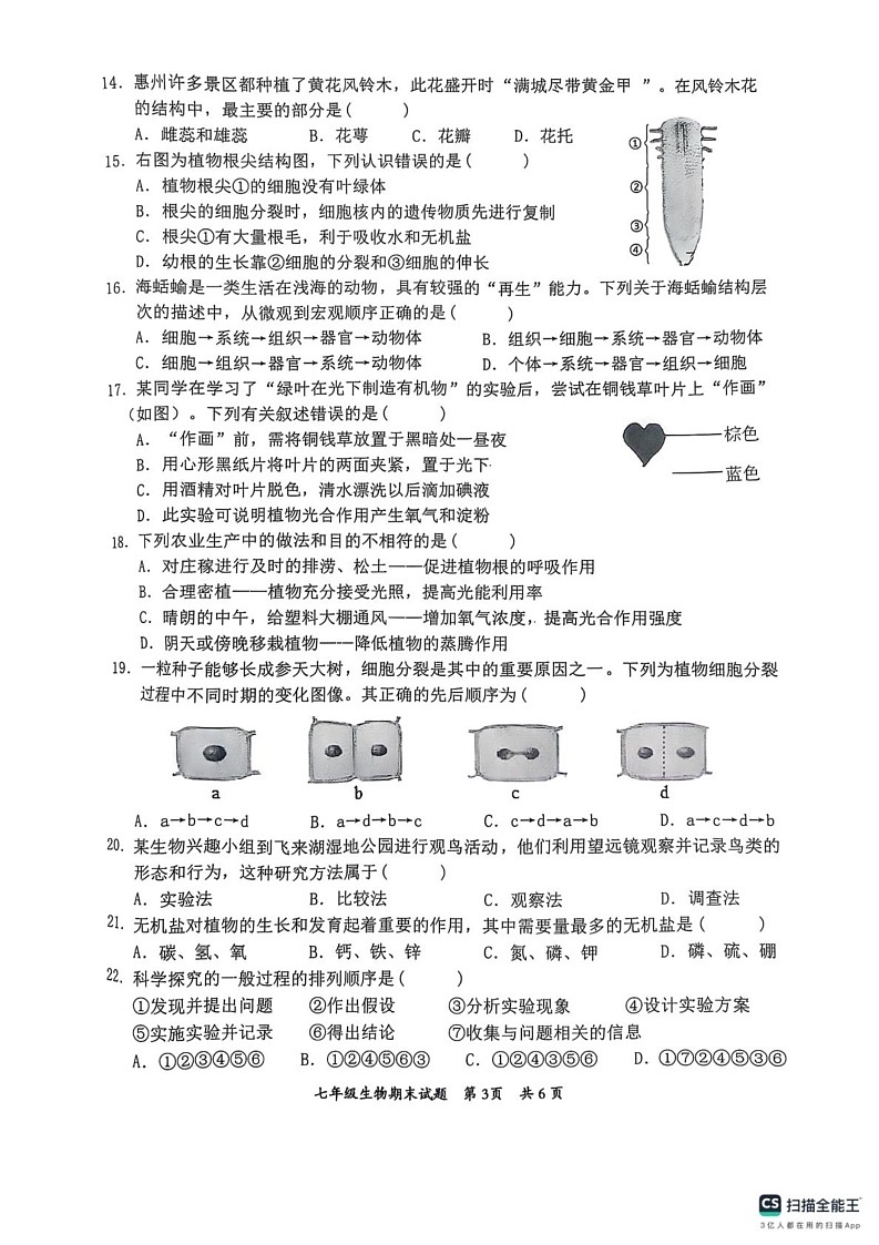 广东省惠州市惠阳区2024-2025学年七年级上学期1月期末生物试题第3页