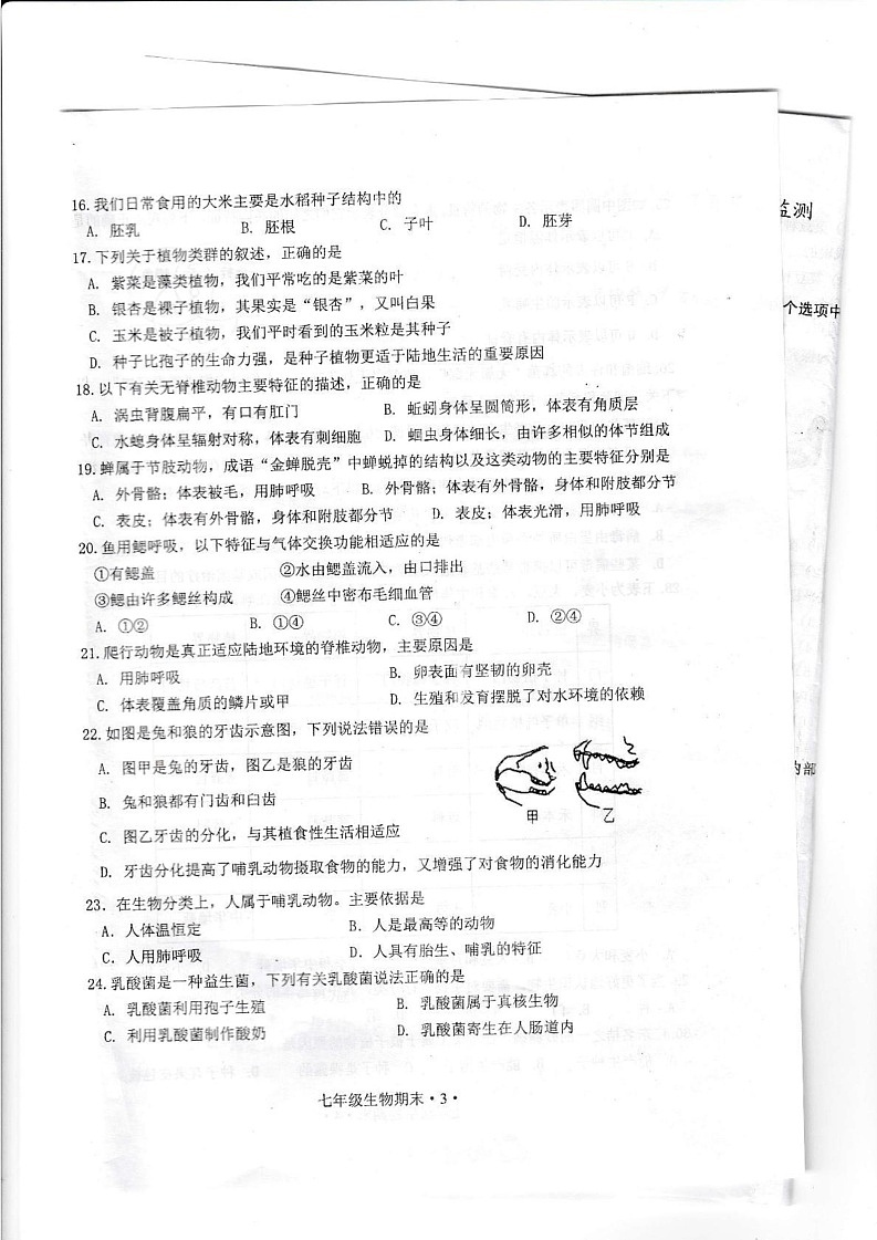 广东省江门市恩平市2024-2025学年七年级上学期1月期末生物试题第3页