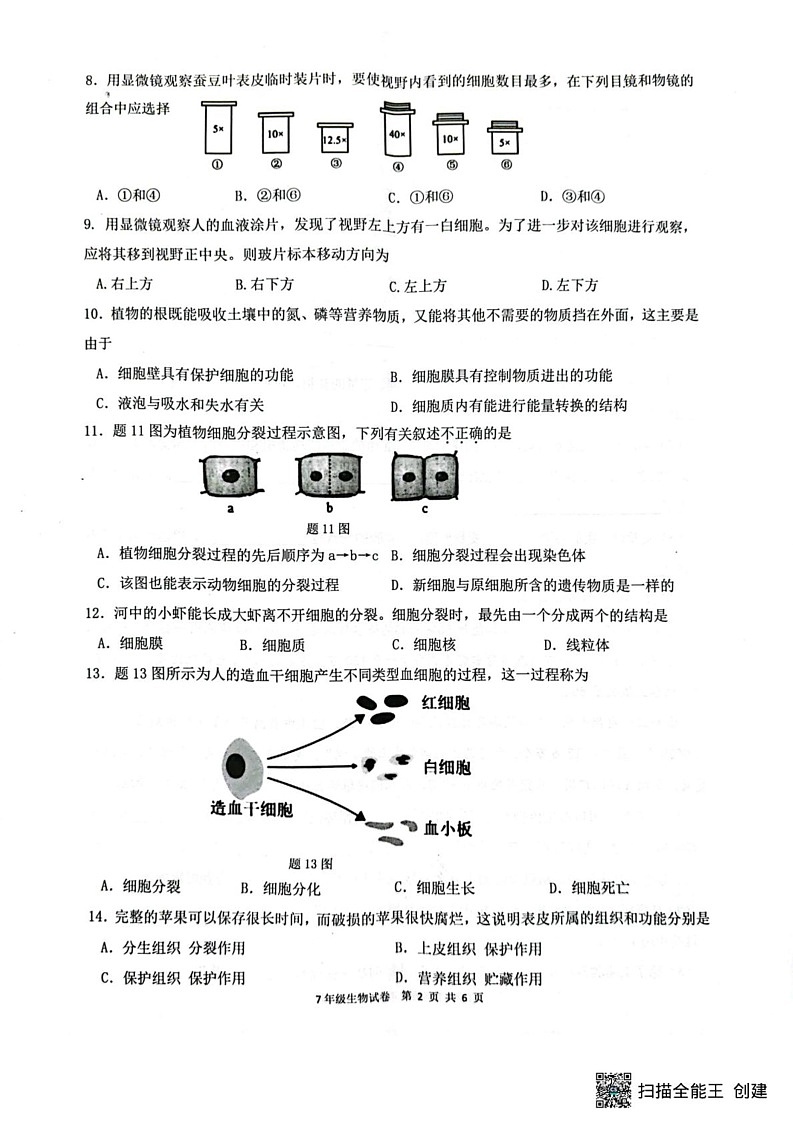 广东省惠州市惠东县2024-2025学年七年级上学期期末生物试题第2页