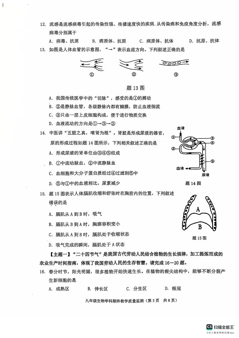 广东省揭阳市普宁市2024-2025学年九年级上学期1月期末生物试题第3页