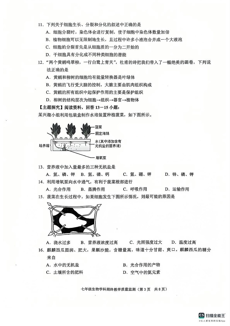 广东省揭阳市普宁市2024-2025学年七年级上学期1月期末生物试题第3页