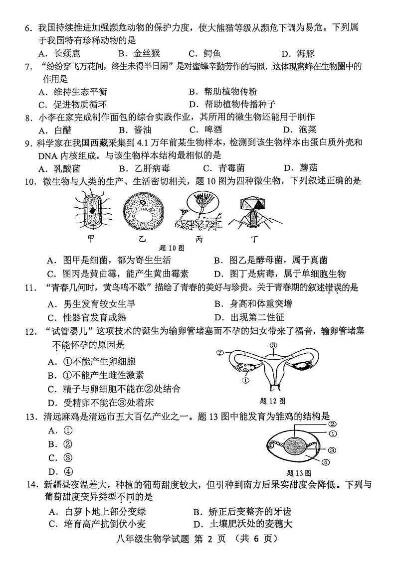 广东省清远市英德市2024-2025学年八年级上学期1月期末生物试题第2页
