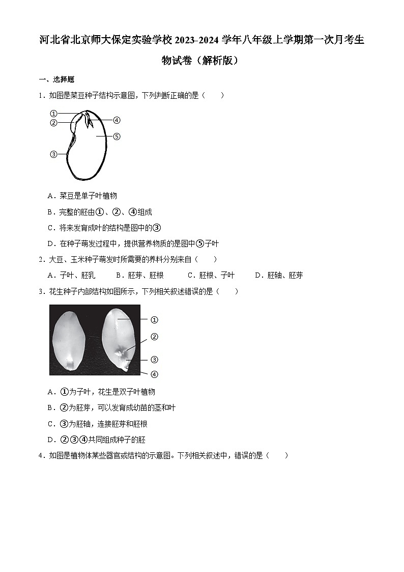 河北省保定市北京师范大学保定实验学校八年级上学期第一次月考生物试卷-A4第1页