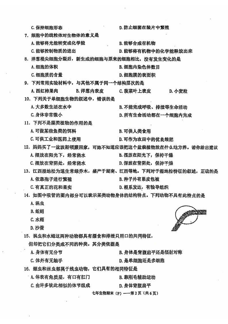 广东省汕头市潮南区司马浦镇2024-2025学年七年级上学期12月期末生物试题第2页