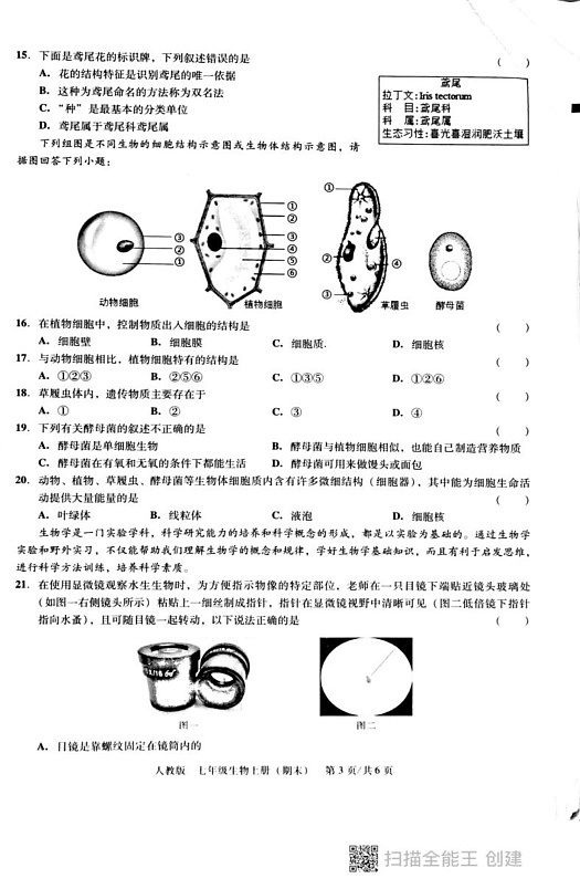 广东省汕头市潮阳区德兴育才学校2024-2025学年七年级上学期期末生物试题第3页