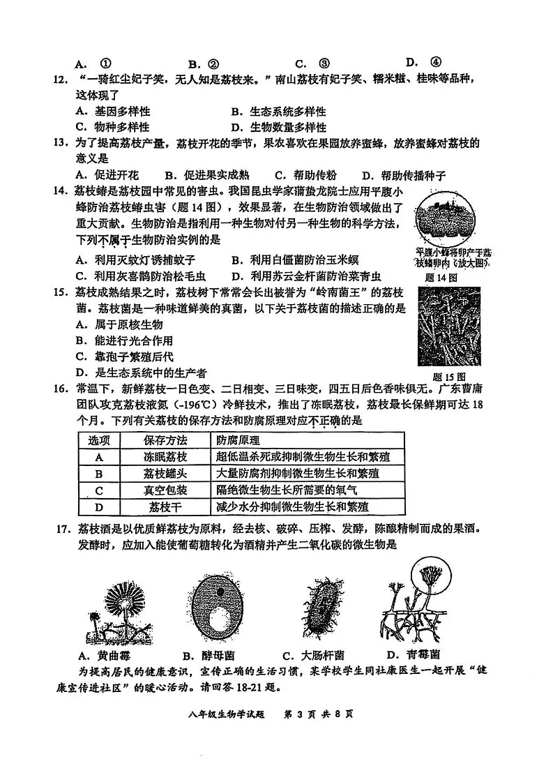 广东省深圳市龙岗区2024-2025学年八年级上学期期末考试生物试题第3页