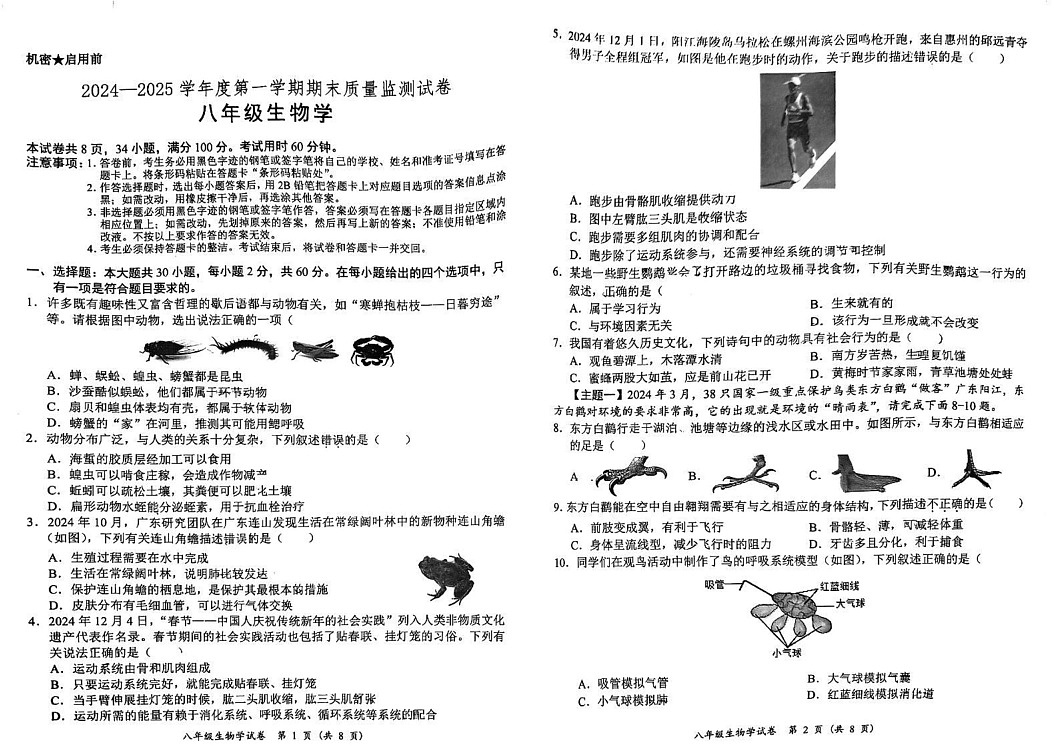 广东省阳江市江城区2024-2025学年八年级上学期期末考试生物试题第1页