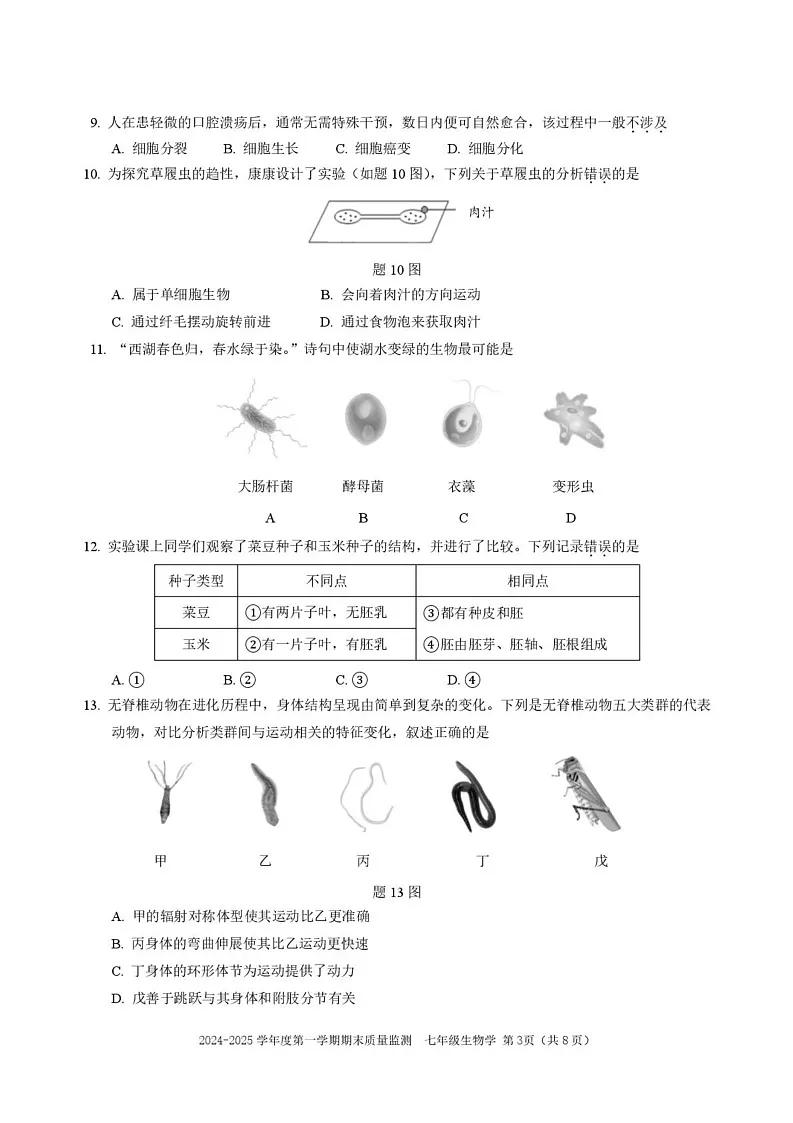 广东省深圳市南山区2024-2025学年七年级上学期期末生物试卷第3页