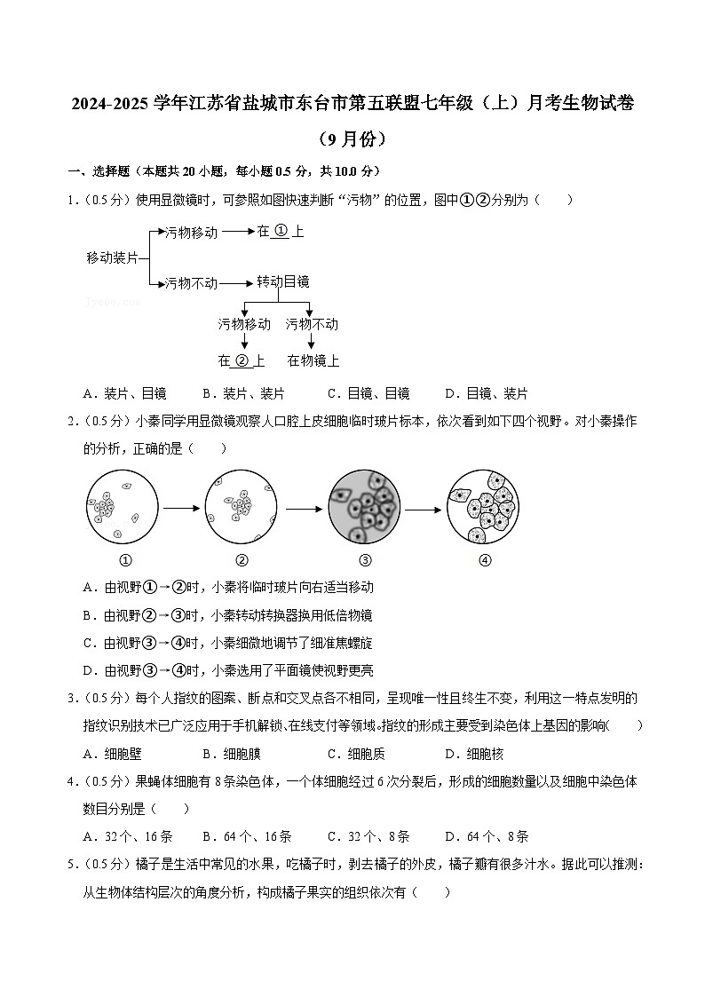 江苏省盐城市东台市第五联盟2024-2025学年七年级上学期9月份月考生物试卷+第1页