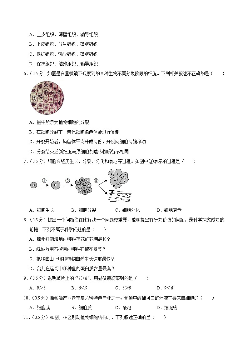 江苏省盐城市东台市第五联盟2024-2025学年七年级上学期9月份月考生物试卷+第2页