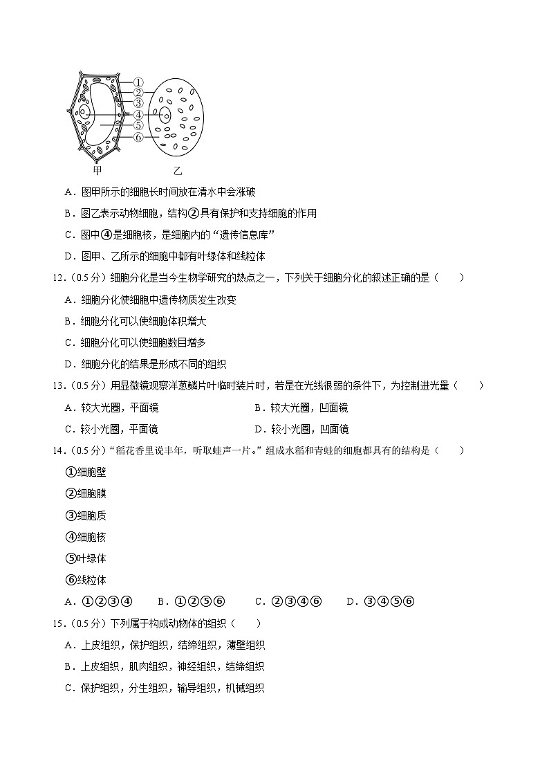 江苏省盐城市东台市第五联盟2024-2025学年七年级上学期9月份月考生物试卷+第3页