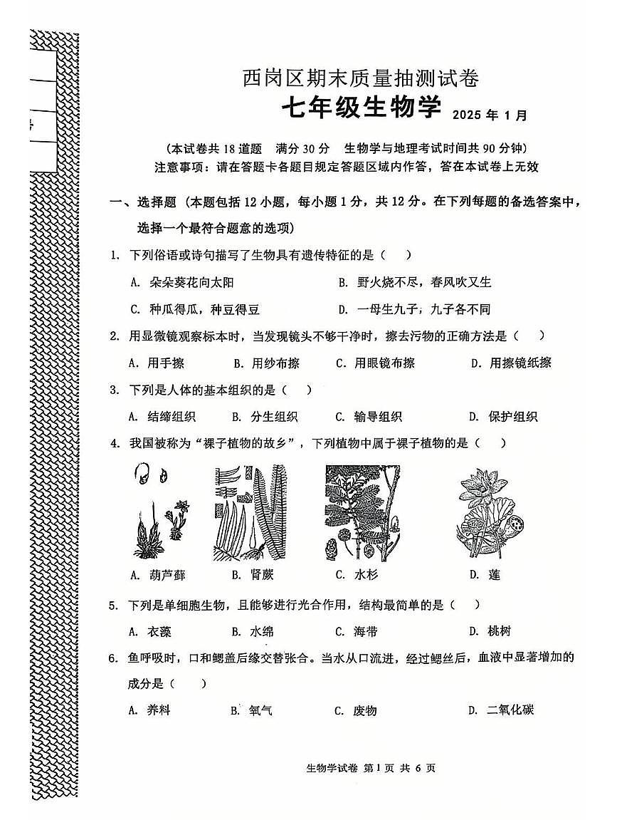 辽宁省大连市西岗区2024-2025学年第一学期七年级生物学期末试卷（含答案）第1页