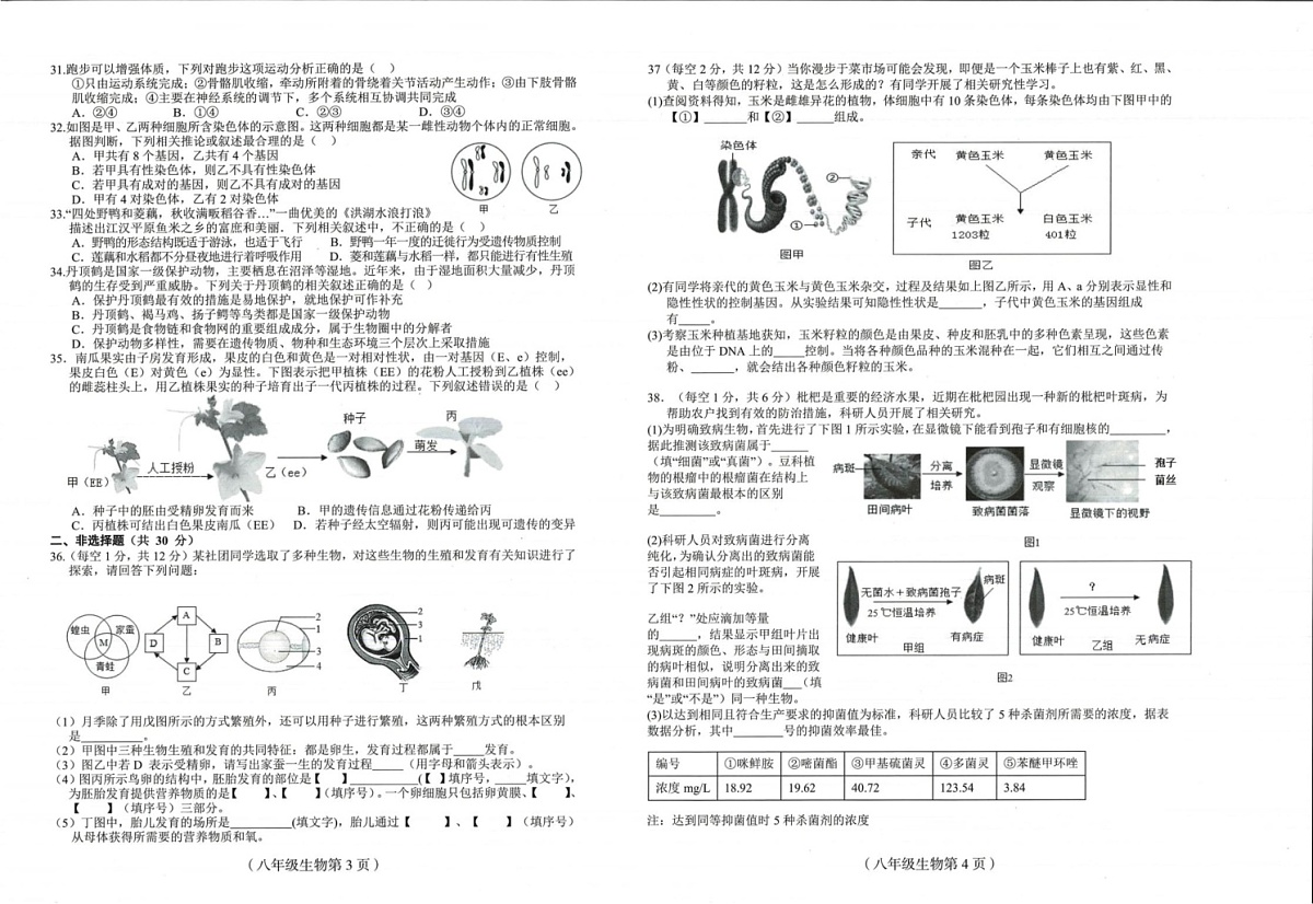 海南省临高县2024-2025学年八年级上学期期末考试生物试题第2页
