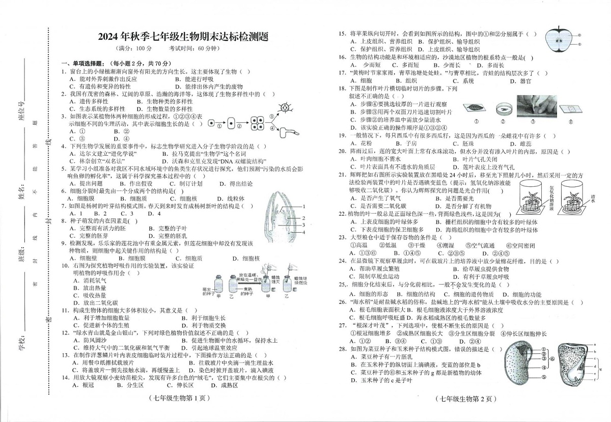 海南省临高县2024-2025学年七年级上学期期末考试生物试题第1页