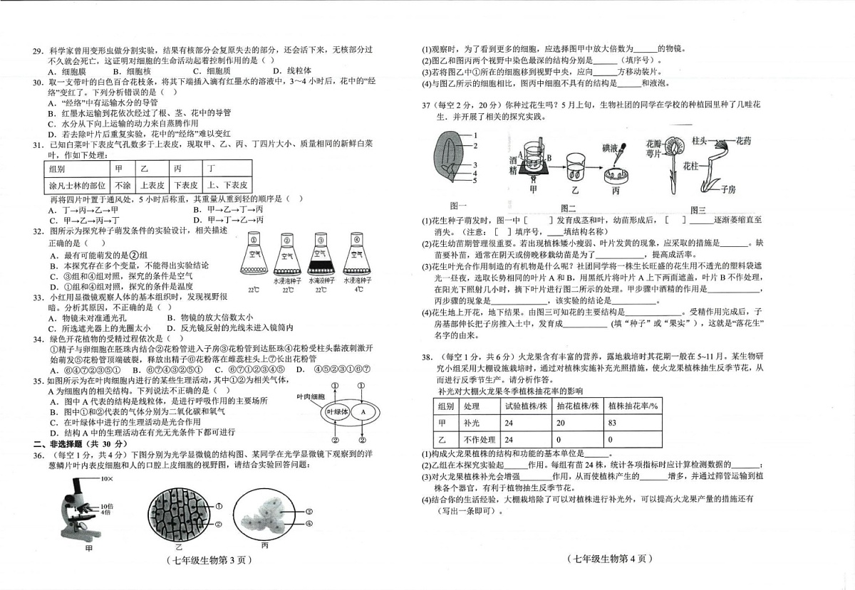 海南省临高县2024-2025学年七年级上学期期末考试生物试题第2页