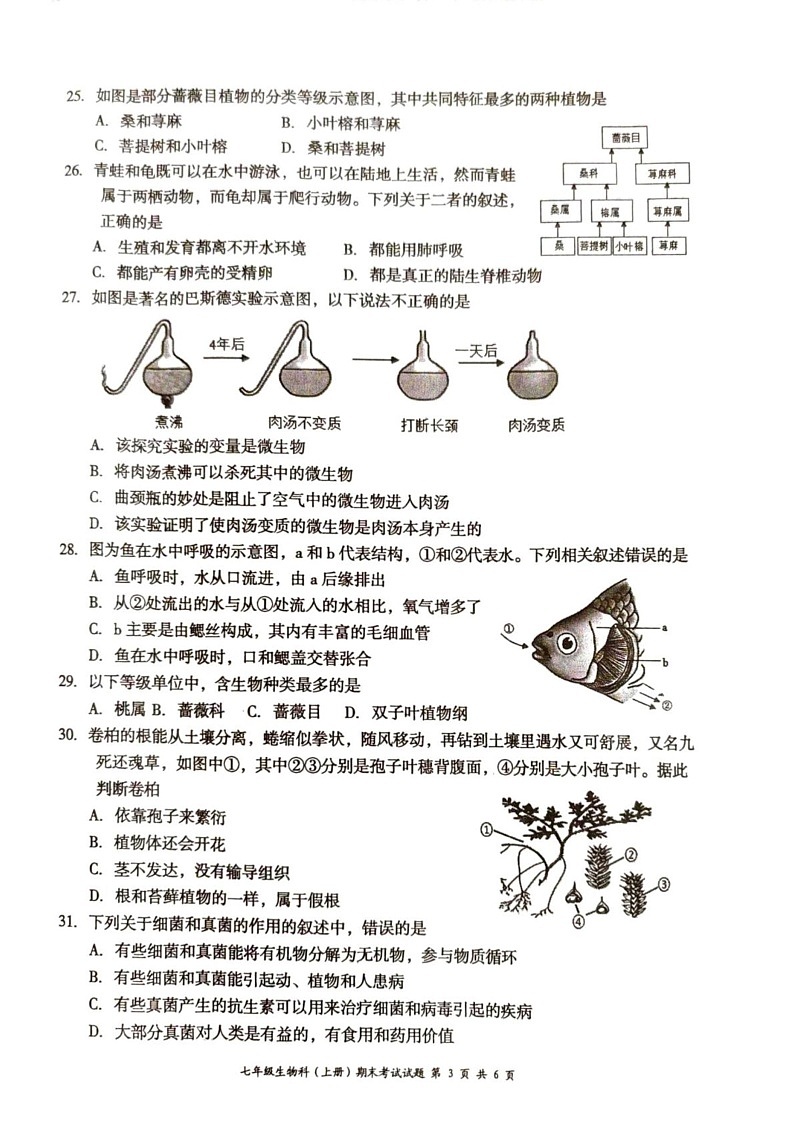 海南省文昌市202-2025学年七年级上学期期末考试生物试题第3页