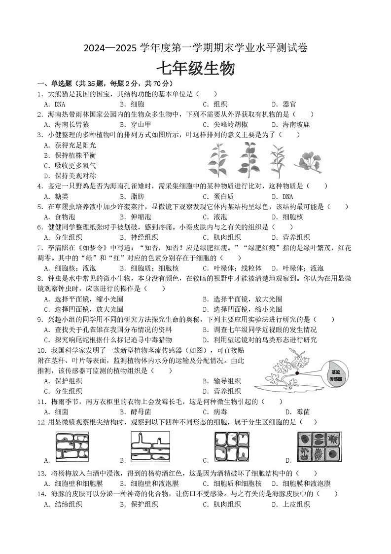 海南省五指山市2024-2025学年七年级上学期期末考试生物试题第1页