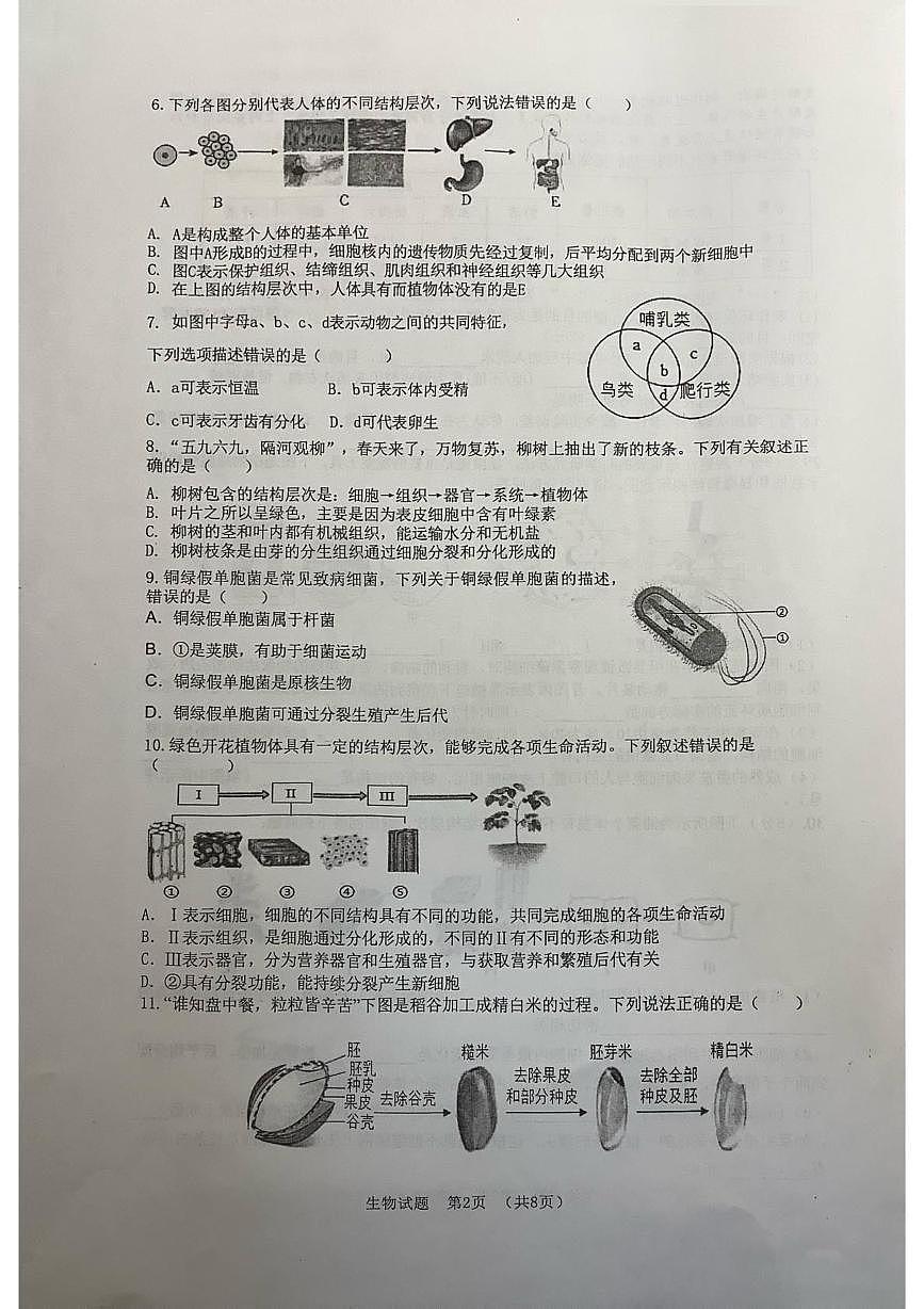 山东省日照市东港区北京路中学2025-2026学年七年级上学期期中考试生物试卷第2页