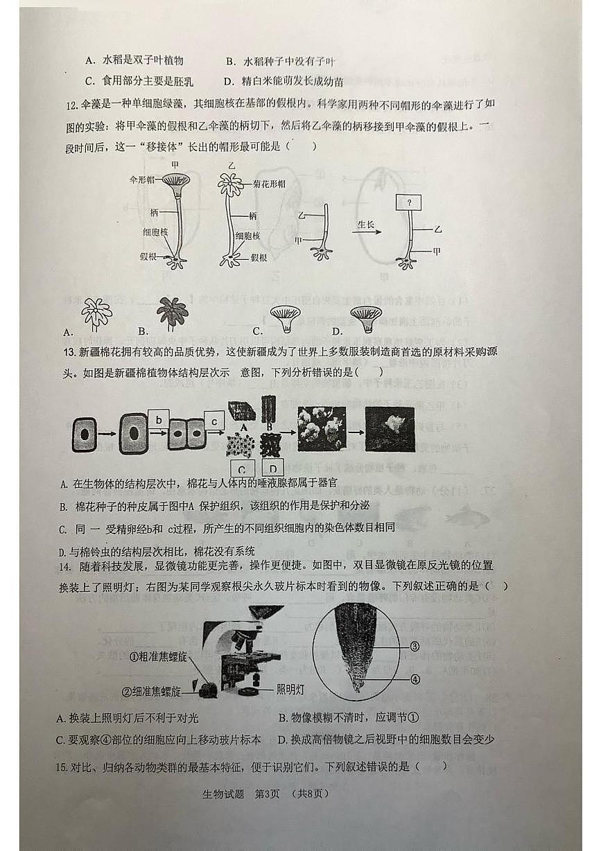 山东省日照市东港区北京路中学2025-2026学年七年级上学期期中考试生物试卷第3页