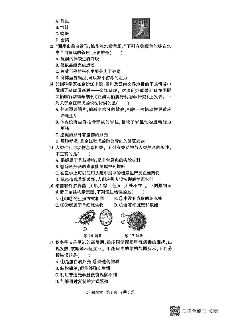 河南省漯河市召陵区2024-2025学年七年级上学期1月期末生物试题第3页