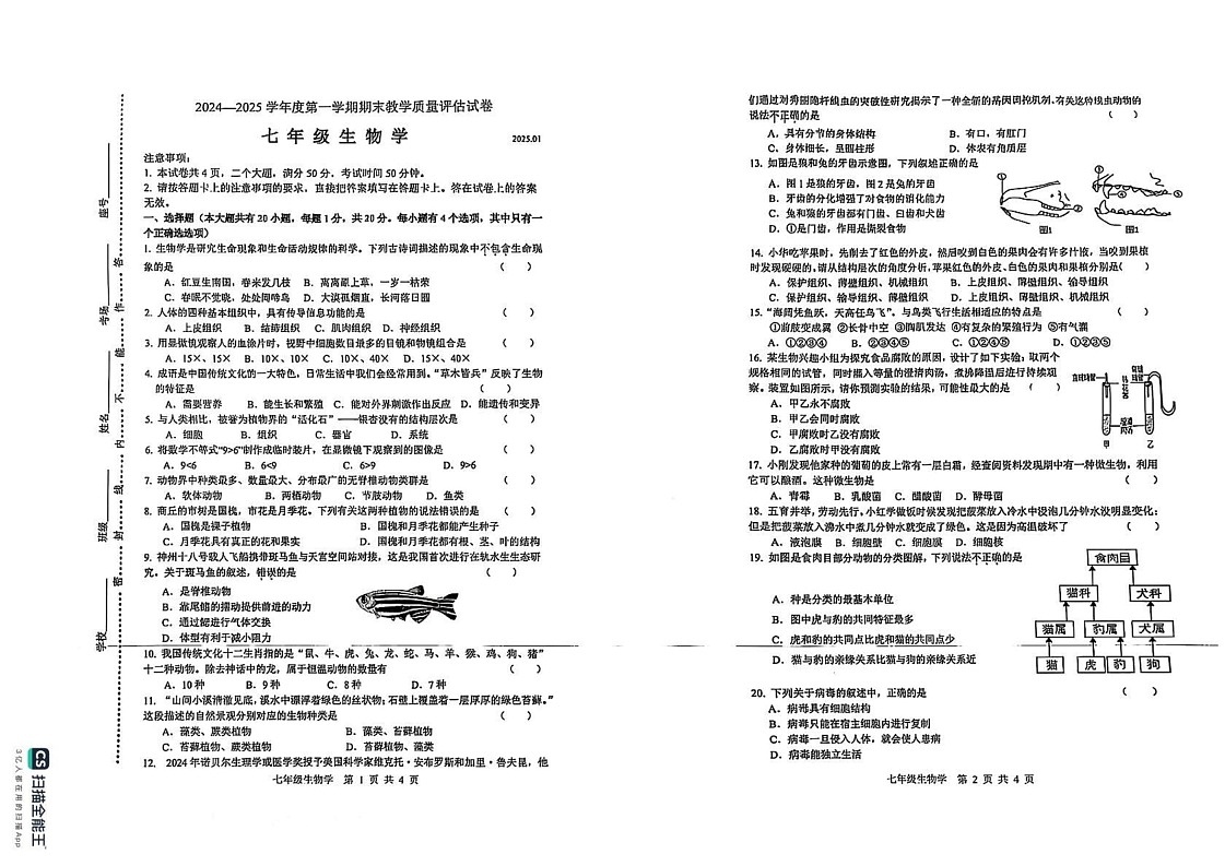 河南省商丘市名校2024--2025学年七年级上学期期末质量评估生物试卷第1页