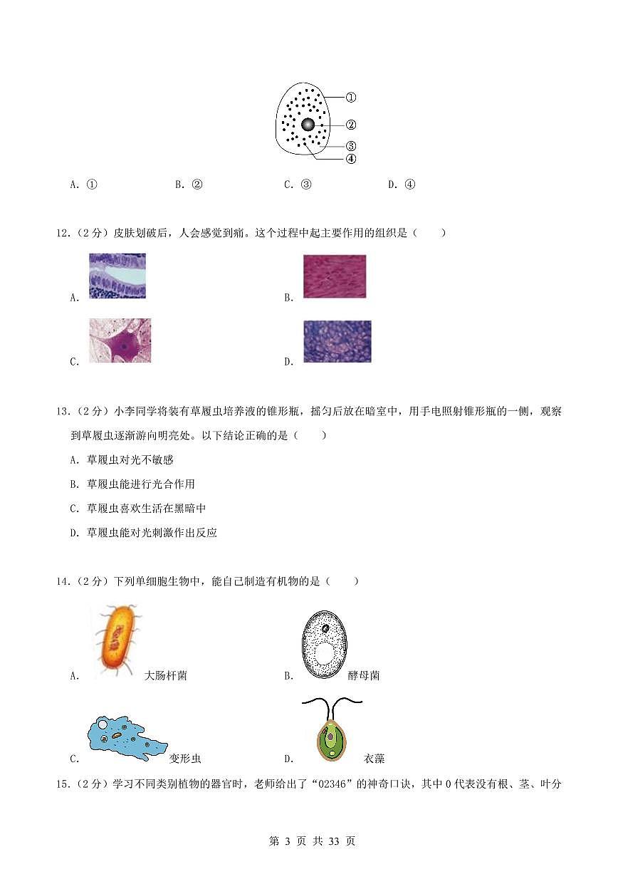 2024版人教版七年级上册生物期末测试卷含答案第3页
