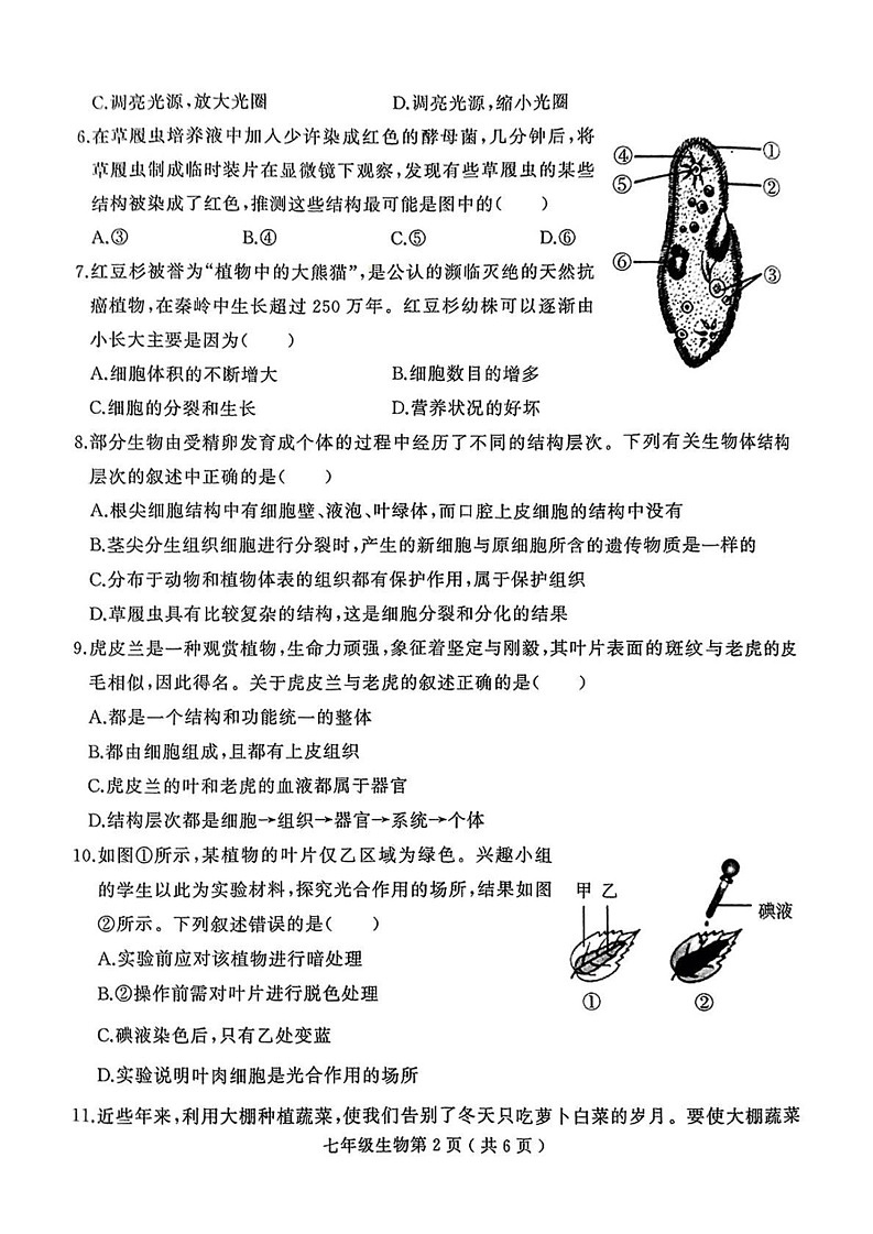 河南省驻马店市驿城区2024-2025学年七年级上学期期末考试生物试题第2页