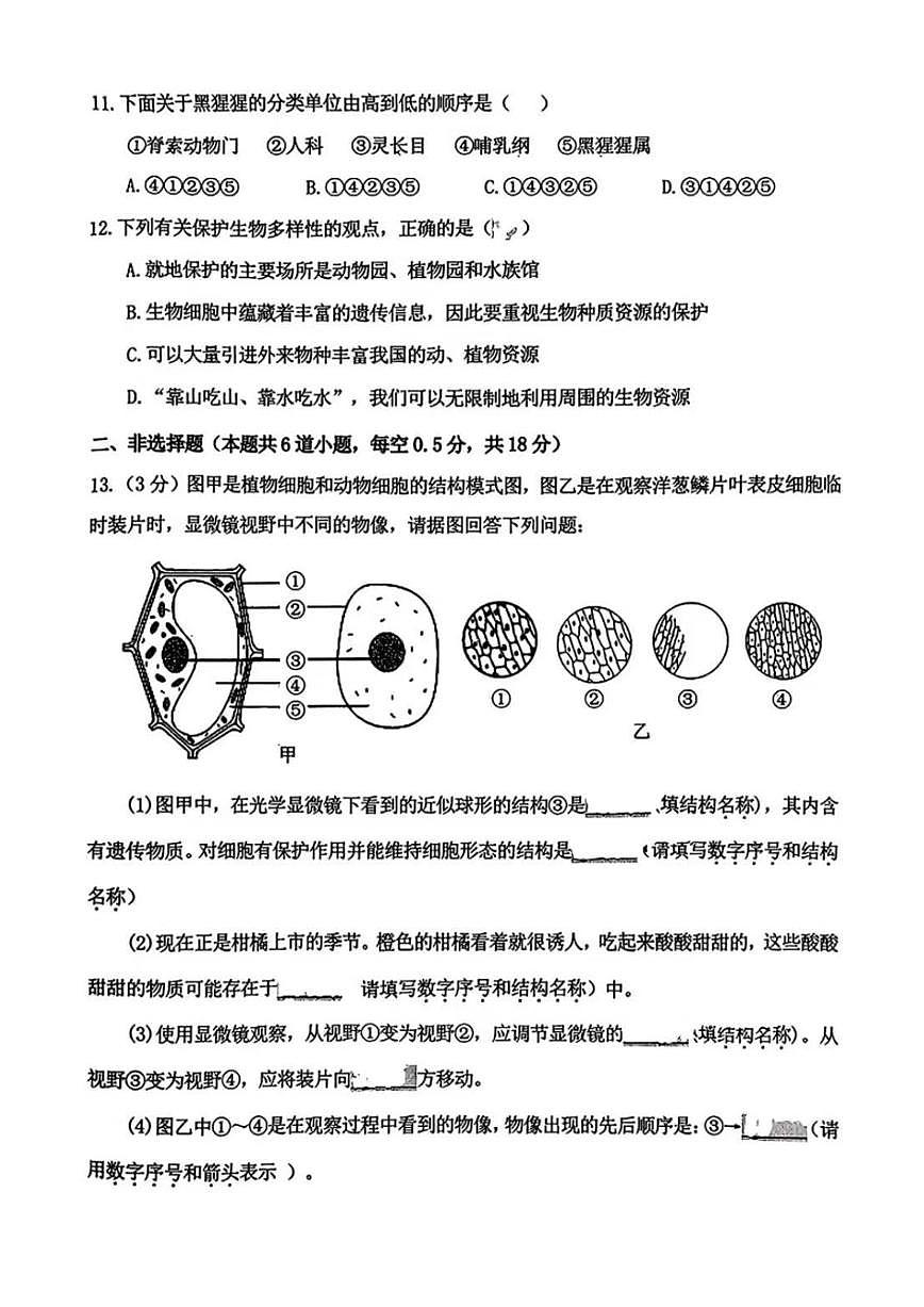 辽宁省沈阳市皇姑区2024-2025学年第一学期七年级生物学期末试卷（含答案）第3页