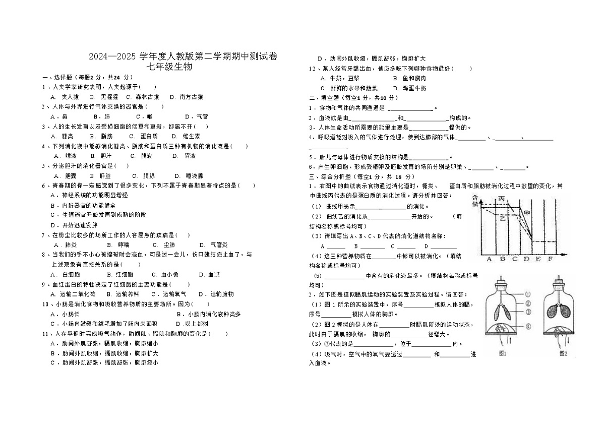 2024—2025 学年度人教版第二学期期中测试卷七年级生物第1页