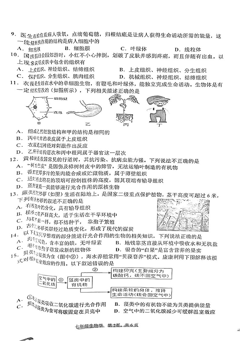 湖南省益阳市沅江市2024-2025学年七年级上学期1月期末生物试题第2页