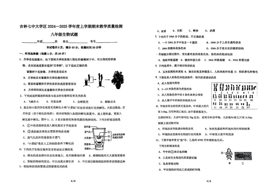 吉林省吉林市第七中学2024-2025学年八年级上学期期末考试生物试卷第1页
