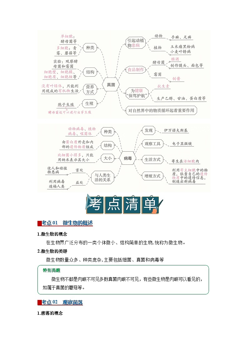 专题06 微生物（word）2025-2026学年七上生物人教版2024期末复习学案知识点+习题（原卷版）第2页