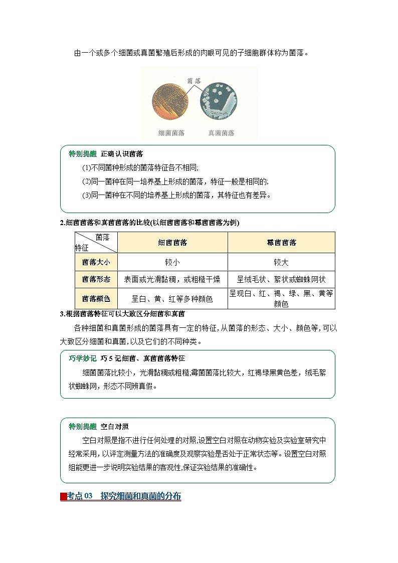 专题06 微生物（word）2025-2026学年七上生物人教版2024期末复习学案知识点+习题（原卷版）第3页