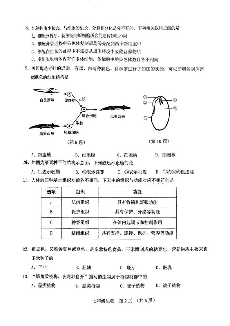 吉林省长春市净月高新区2024-2025学年七年级上学期 生物期末试卷第2页
