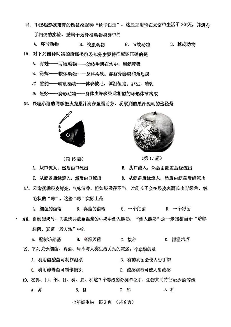 吉林省长春市净月高新区2024-2025学年七年级上学期 生物期末试卷第3页