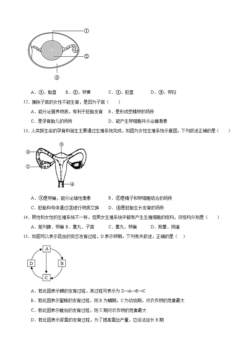 第15章+生物的生殖和发育+单元练习-2025--2026学年北师大版生物八年级上册第3页