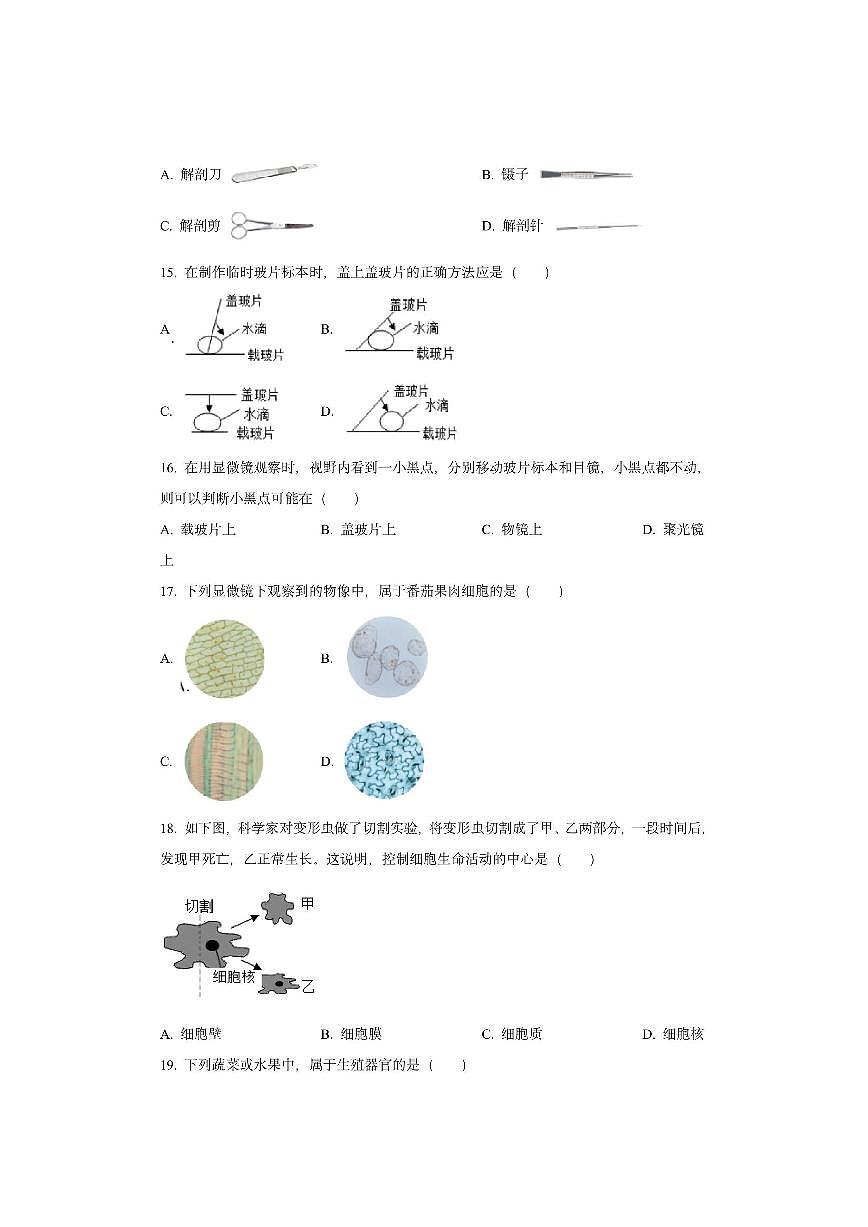 福建省南平市建阳区2025-2026学年七年级上学期期中生物试卷（学生版）第3页