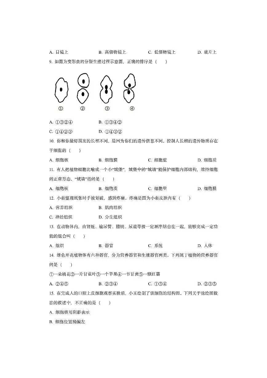 广东省茂名市高州市2025-2026学年七年级上学期期中生物试卷（学生版）第2页
