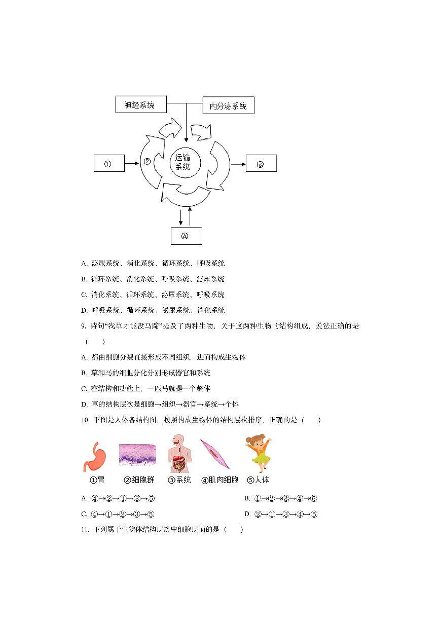 广西百色市田林县等部分地区2025-2026学年七年级上学期期中物生物试卷（学生版）第3页