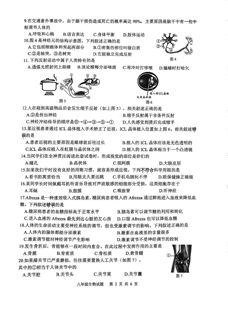 江苏省徐州市2024 _2025学年八年级上学期期末抽测生物试题第2页