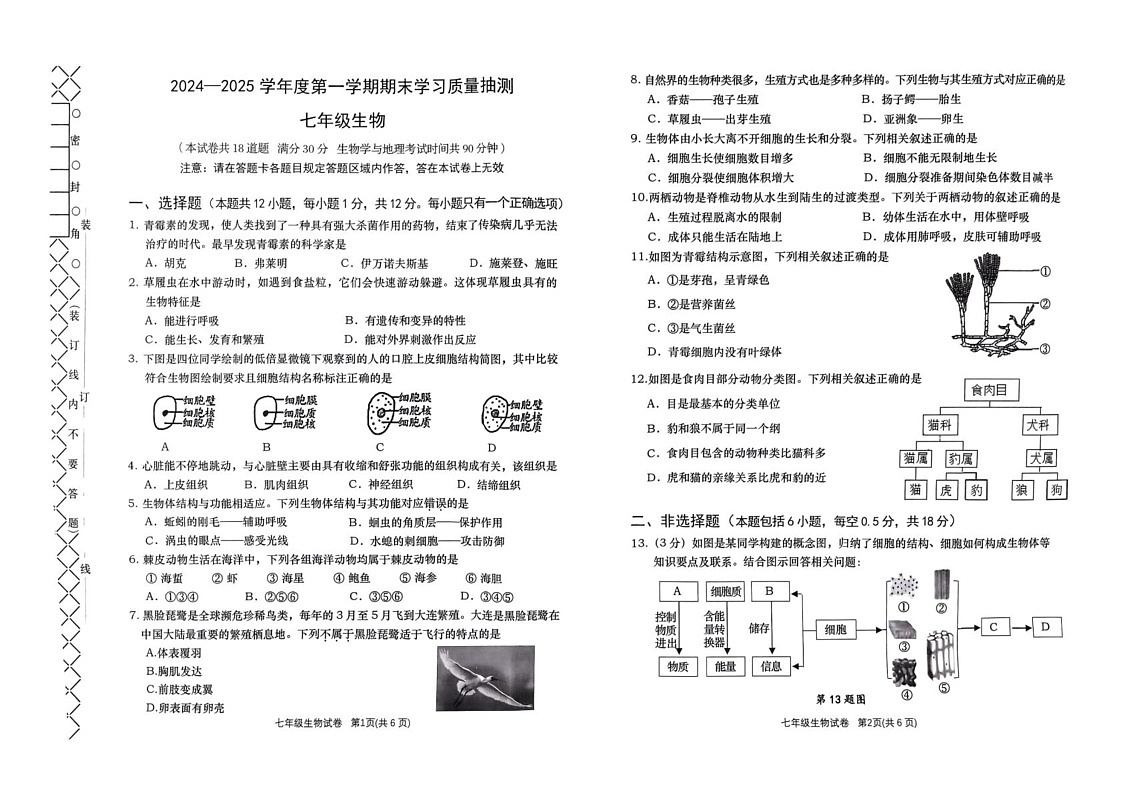 辽宁大连甘井子区等2024—2025学年七年级上学期七年级生物期末考试试题第1页