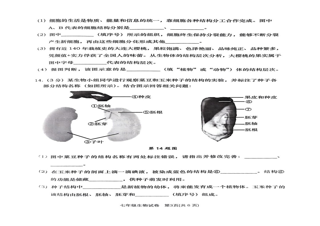 辽宁大连甘井子区等2024—2025学年七年级上学期七年级生物期末考试试题第2页