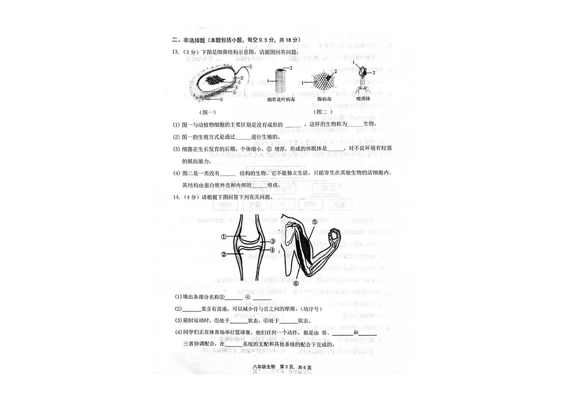 辽宁省大连市瓦房店市2024-2025学年八年级上学期期末考试生物试卷第3页