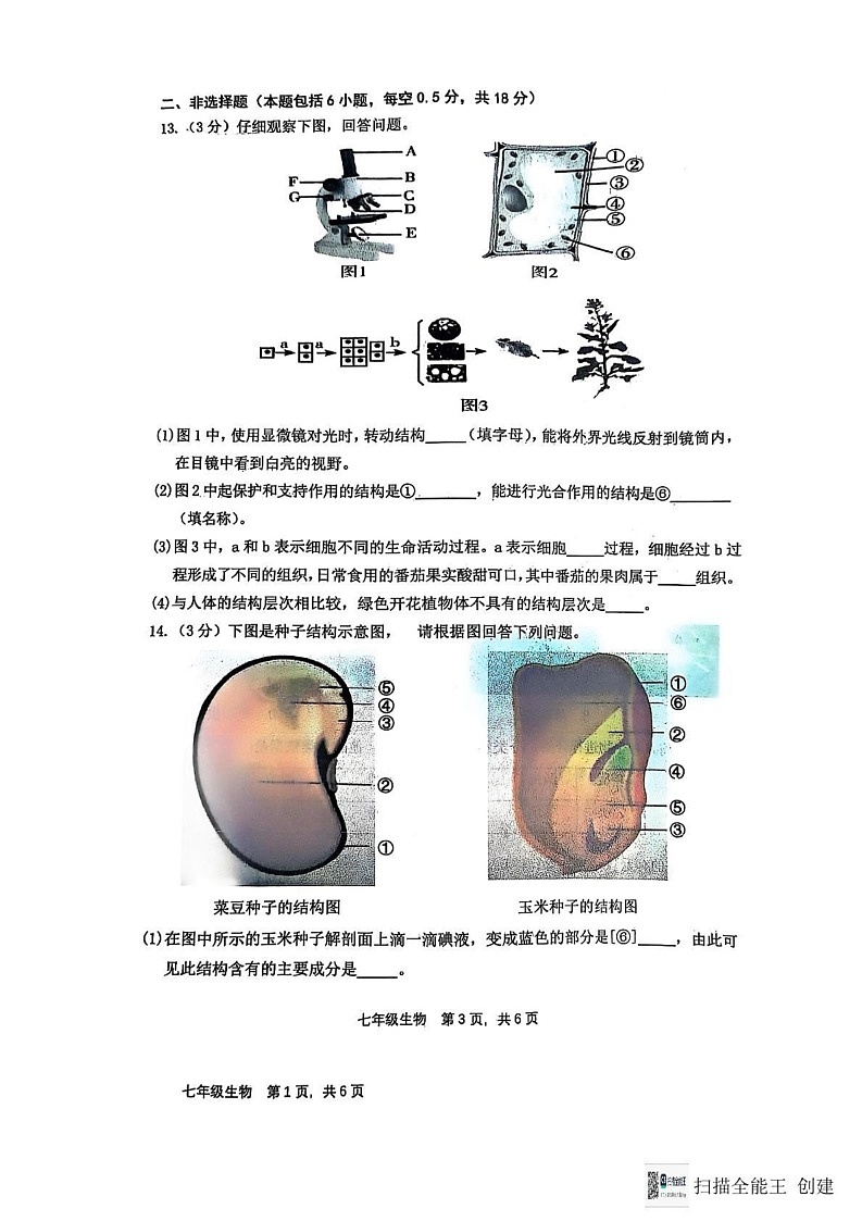 辽宁省大连市瓦房店市2024-2025学年七年级上学期1月期末生物试题第3页