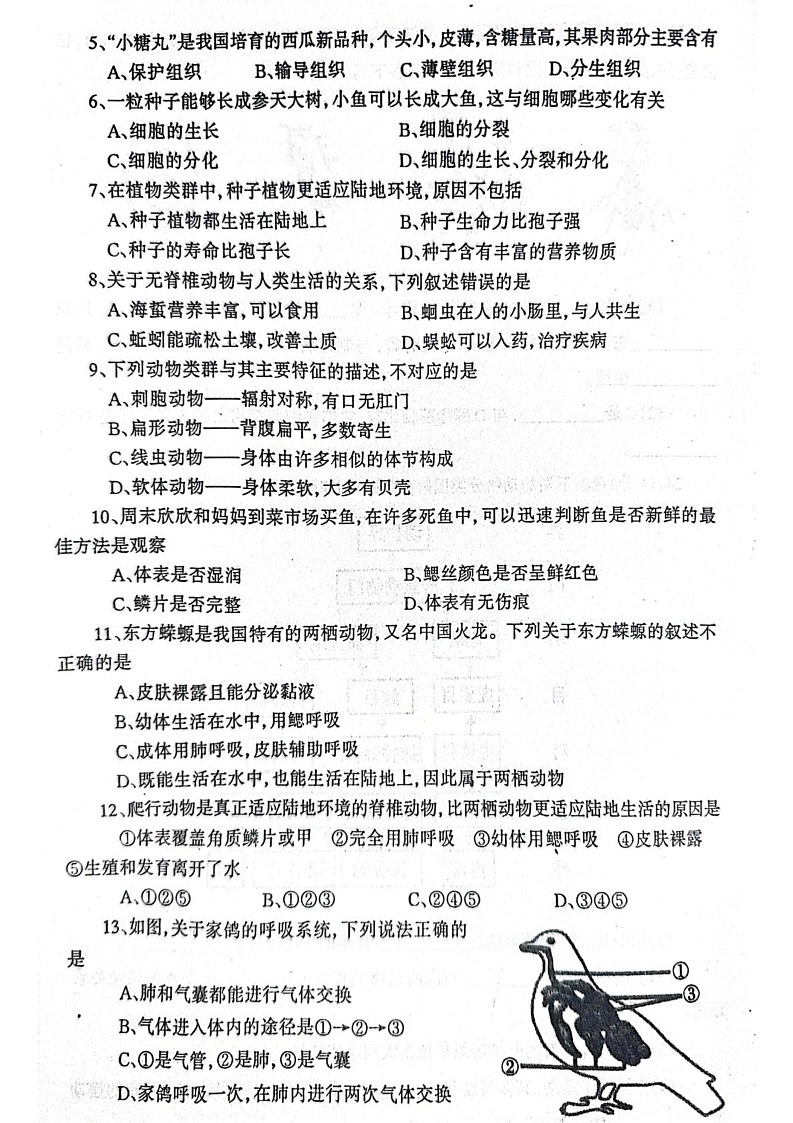 辽宁省丹东市凤城市2024-2025学年七年级上学期1月期末生物试题第2页