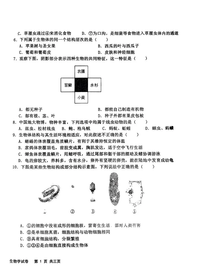 辽宁省沈阳市法库县2024-2025学年七年级上学期期末考试生物试题第2页