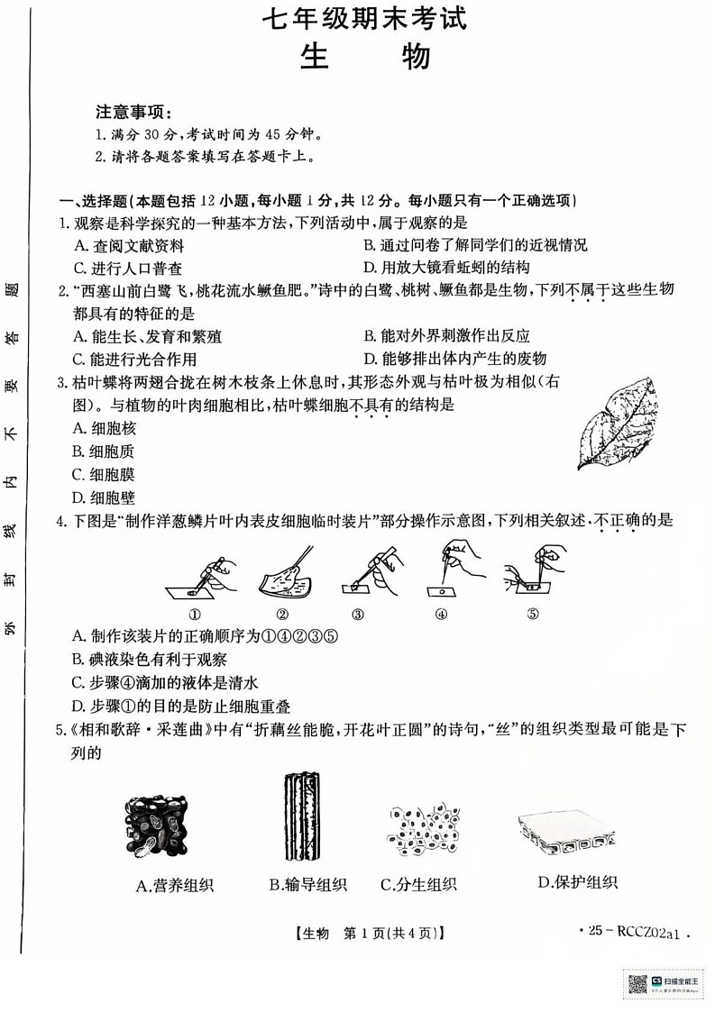 辽宁省盘锦市大洼区2024-2025学年七年级上学期1月期末生物试题第1页
