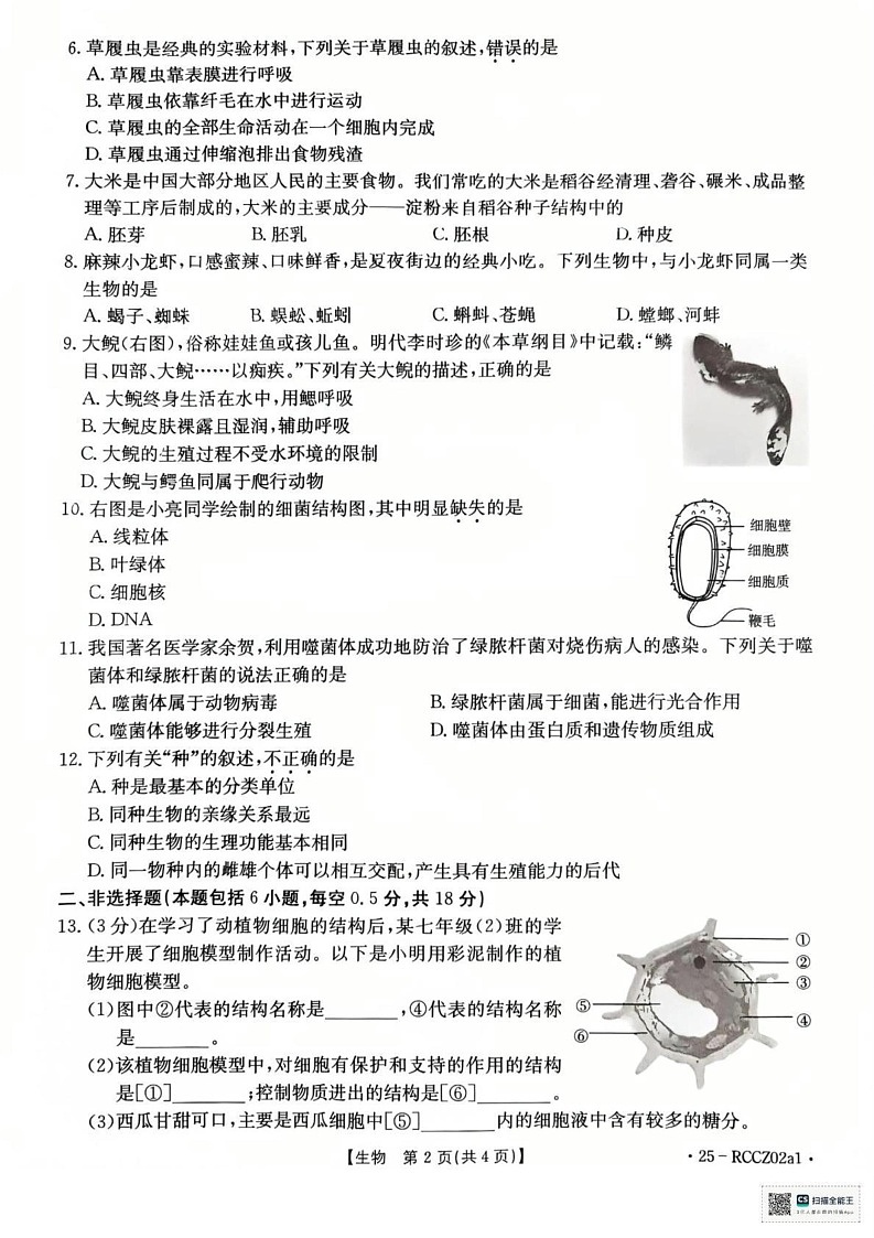 辽宁省盘锦市大洼区2024-2025学年七年级上学期1月期末生物试题第2页