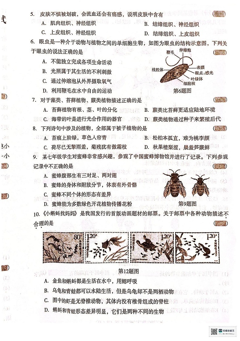 辽宁省沈阳市于洪区2024-2025学年七年级上学期期末考试生物试卷第2页